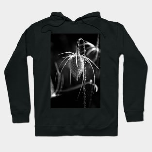 Bowed Head (b&w) Hoodie